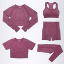 Conjunto feminino para academia